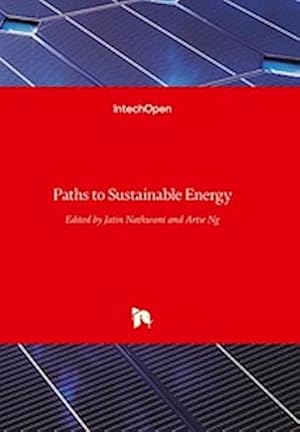 Seller image for Paths to Sustainable Energy for sale by AHA-BUCH GmbH