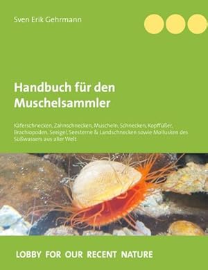 Bild des Verkufers fr Handbuch fr den Muschelsammler : Kferschnecken, Zahnschnecken, Muscheln, Schnecken, Kopffer, Brachiopoden, Seeigel, Seesterne & Landschnecken sowie Mollusken des Swassers aus aller Welt zum Verkauf von AHA-BUCH GmbH