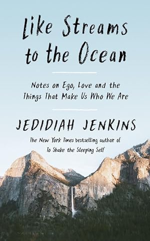 Seller image for Like Streams to the Ocean (Paperback) for sale by Grand Eagle Retail