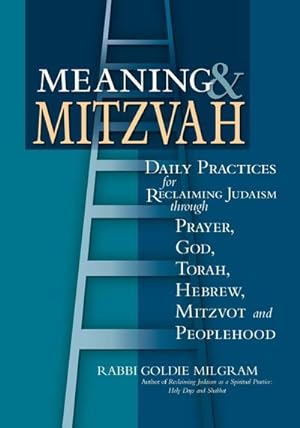 Seller image for Meaning & Mitzvah : Daily Practices for Reclaiming Judaism through Prayer, God, Torah, Hebrew, Mitzvot and Peoplehood for sale by AHA-BUCH GmbH