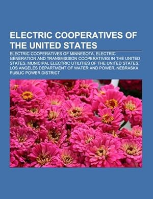 Seller image for Electric cooperatives of the United States : Electric cooperatives of Minnesota, Electric generation and transmission cooperatives in the United States, Municipal electric utilities of the United States, Los Angeles Department of Water and Power, Nebraska Public Power District for sale by AHA-BUCH GmbH