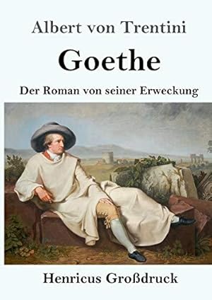 Imagen del vendedor de Goethe (Grodruck): Der Roman von seiner Erweckung a la venta por WeBuyBooks