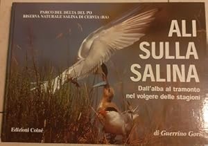 ALI SULLA SALINA DALL'ALBA AL TRAMONTO NEL VOLGERE DELLE STAGIONI, PARCO DEL DELTA DEL PO' RISERV...