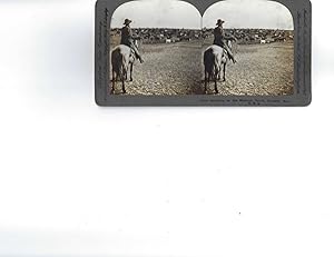 Imagen del vendedor de Cowboy Stereoview a la venta por Max Rambod Inc