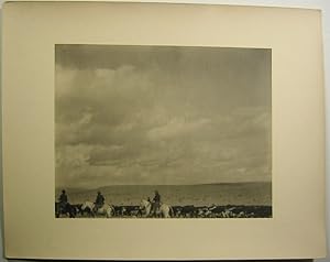Vintage 1920s Original Western Photograph of Cowboys and Cattle