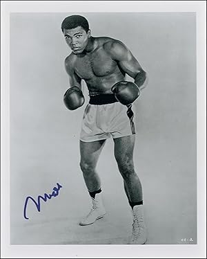 Muhammad Ali Signed Boxing Photo