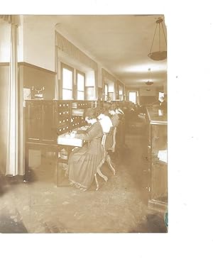 Original Vintage Photograph of Women Civil Servant Office Workers, early 1900s