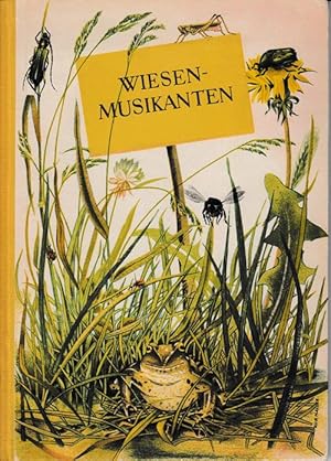 Bild des Verkufers fr Wiesenmusikanten. Belauscht und beschrieben von Elisabeth Schwarz. In bunten Bildern dargestellt von Ruprecht Haller. zum Verkauf von Antiquariat Puderbach