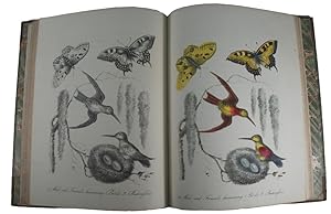 Art of Drawing and Colouring, from Nature, Birds, Beasts, Fishes, and Insects