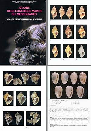 Atlante delle conchiglie marine del mediterraneo - Atlas of Mediterranean seashells. Vol. 4 (Neog...