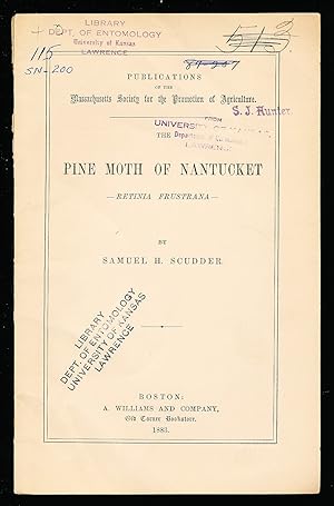 Pine Moth of Nantucket - Retinia frustrana