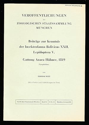 Beitrage zur Kenntnis der Insektenfauna Boliviens XXII. Lepidoptera V. Gattung Anaea Hubner, 1819...