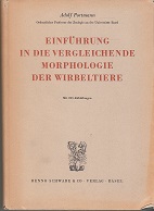 Bild des Verkäufers für Einführung in die vergleichende Morphologie der Wirbeltiere. zum Verkauf von Buchversand Joachim Neumann