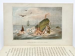 Fighting the Whales: Or, Doings and Dangers of a Fishing Cruise