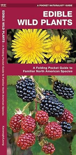 Seller image for Edible Wild Plants (Paperback) for sale by Grand Eagle Retail