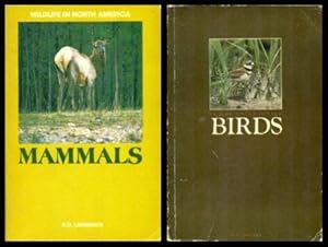 WILDLIFE IN NORTH AMERICA - Mammals - with - Birds