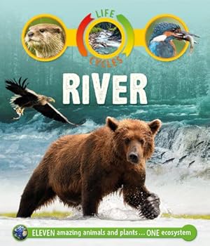 Seller image for Life Cycles: River by Callery, Sean [Paperback ] for sale by booksXpress