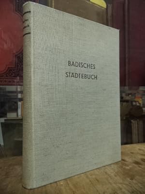 Deutsches Städtebuch - Handbuch städtischer Geschichte, Band IV (4): Südwest-Deutschland, 2. Land...