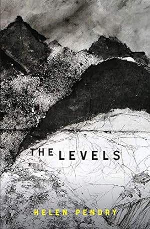 Seller image for The Levels [Soft Cover ] for sale by booksXpress