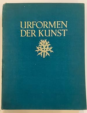 Urformen Der Kunst