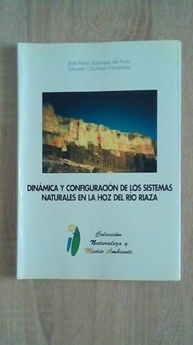 Seller image for DINAMICA Y CONFIGURACION DE LOS SISTEMAS NATURALES EN LA HOZ DEL RIO RIAZA for sale by Libreria Bibliomania