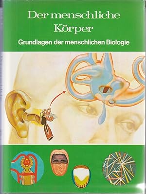 Seller image for Der menschliche Krper - Grundlagen der meschlichen Biologie - Foundations of Science - Welt der Wissenschaft for sale by Allguer Online Antiquariat