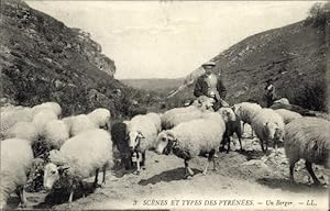 Ansichtskarte / Postkarte Hautes Pyrénées, Un Berger