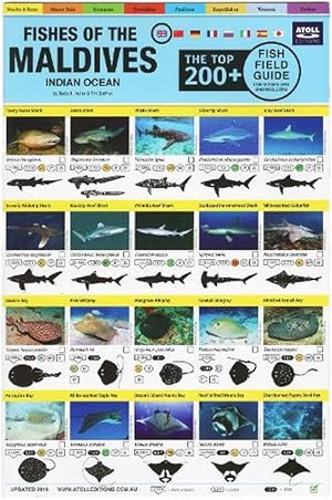 Seller image for Maldives Fish Field Guide "Top 200+" (Sticker Books) for sale by Grand Eagle Retail