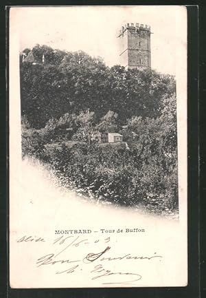 Bild des Verkufers fr Carte postale Montbard, Tour de Buffon zum Verkauf von Bartko-Reher