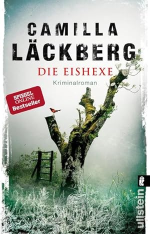 Die Eishexe: Kriminalroman (Ein Falck-Hedström-Krimi, Band 10)