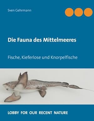 Bild des Verkufers fr Die Fauna des Mittelmeeres : Fische, Kieferlose und Knorpelfische zum Verkauf von AHA-BUCH GmbH