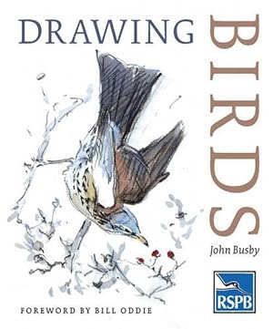 Imagen del vendedor de Drawing Birds (Paperback) a la venta por Grand Eagle Retail