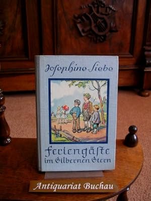 Feriengäste im Silbernen Stern. Heitere Kindergeschichte aus einer Kleinstadt. Mit 4 farbigen Vol...