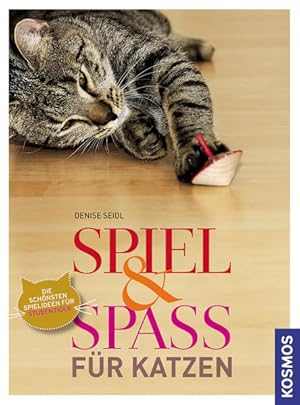 Spiel & Spaß für Katzen