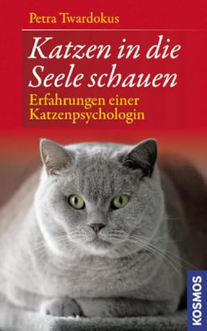 Katzen in die Seele schauen: Erfahrungen einer Katzenpsychologin