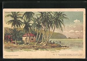 Lithographie Puerto Rico, Mid-Winter Scene