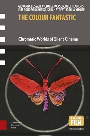 Seller image for Colour Fantastic : Chromatic Worlds of Silent Cinema for sale by GreatBookPrices