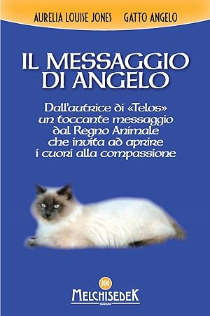 Imagen del vendedor de Il messaggio di Angelo a la venta por Libro Co. Italia Srl