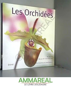 Image du vendeur pour Les orchides mis en vente par Ammareal