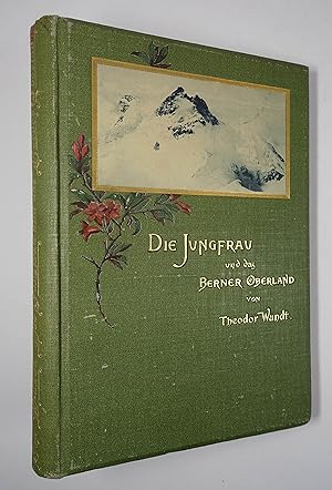 Die Jungfrau und das Berner Oberland. In luftigen Höh'n - Skizzen aus dem Bergsteigerleben. Herau...