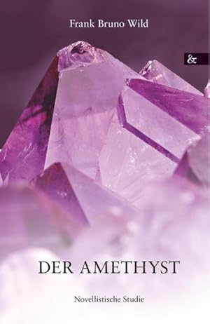 Imagen del vendedor de Der Amethyst a la venta por AHA-BUCH GmbH