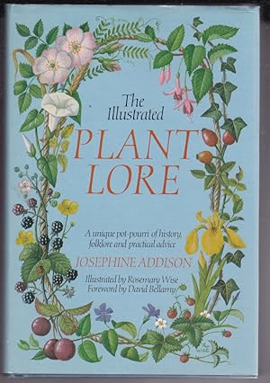 THE ILLUSTRATED PLANT LORE. A unique pot pourri of history, folklore and practical advice.; Illus...