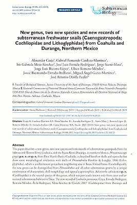 Imagen del vendedor de New genus, two new species and new records of subterranean freshwater snails (Caenogastropoda; Cochliopidae and Lithoglyphidae) from Coahuila and Durango, Northern Mexico a la venta por ConchBooks