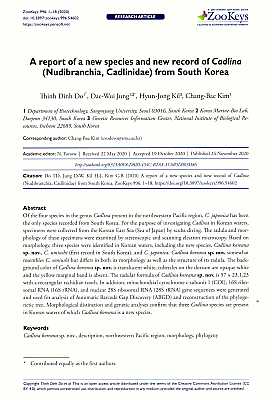 Seller image for A report of a new species and new record of Cadlina (Nudibranchia, Cadlinidae) from South Korea for sale by ConchBooks