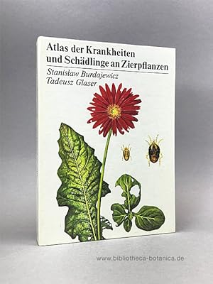 Bild des Verkufers fr Atlas der Krankheiten und Schdlinge an Zierpflanzen. zum Verkauf von Bibliotheca Botanica