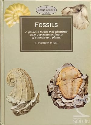 Seller image for Fossils for sale by LIBRERA SOLN