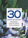 Bild des Verkufers fr 30 Plantes Grimpantes : Description, Soins Et Culture, Fiches Pratiques zum Verkauf von RECYCLIVRE