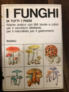 Seller image for I FUNGHI DI TUTTI I PAESI for sale by AL VECCHIO LIBRO