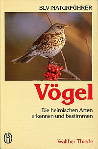 Immagine del venditore per Vgel. die heimischen Arten erkennen und bestimmen. venduto da Bcher Eule