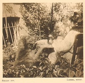 Belgium l'Art en Photographie Lady & Dog Garden old Halftone Rellio 1901